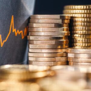 ANEXO AO ARTIGO “UMA FESTA PARA POUCOS: POLÍTICA MONETÁRIA NO BRASIL”